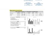 USA California Palo Alto utility bill, Word and PDF template, 2 pages