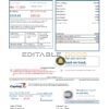 USA Capital One bank statement template in Excel and PDF format (2 pages) version 3
