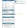 USA Capital One bank statement template in Excel and PDF format (2 pages) version 3