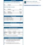 USA Capital One bank statement template in Excel and PDF format (2 pages) version 3