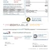 USA Capital One bank statement template in Word and PDF format (2 pages) version 3