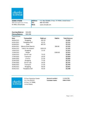 USA Editable Templates 8 USA Charles Schwab & Co bank statement easy to fill template in .xls and .pdf file format
