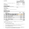 USA Chase account statement easy to fill template in Excel and PDF format