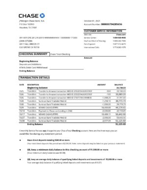 USA Editable Templates 9 USA Chase account statement easy to fill template in Excel and PDF format