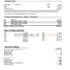 USA Chase bank statement Word and PDF template, 4 pages