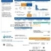 USA Colorado Natural Gas utility bill template in Word and PDF format