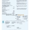 USA Con Edison electricity utility bill template in Word and PDF format