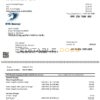 USA DTE Energy utility bill template in Word and PDF format (2 pages)