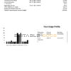 USA DTE Energy utility bill template in Word and PDF format (2 pages)