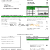 USA Delaware Electric Co-op utility bill template in Word and PDF format