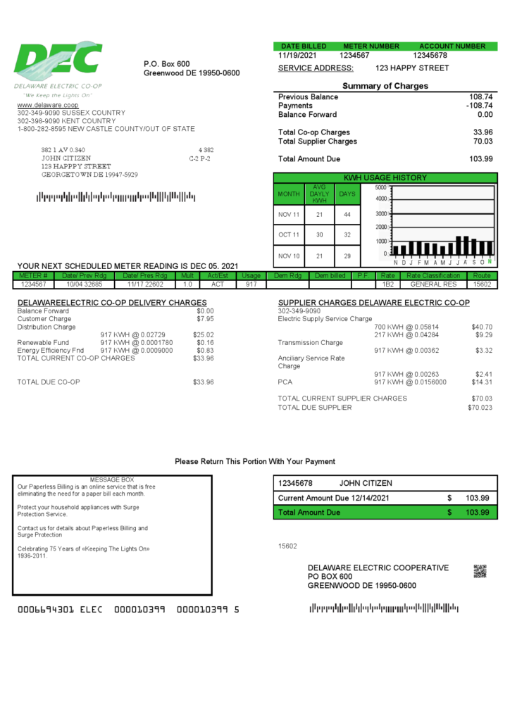 USA Delaware Electric Co-op utility bill template in Word and PDF format