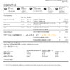 USA Discover bank credit card statement template in Word and PDF format (2 pages)