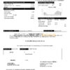 USA Dominion Energy utility bill template in Word and PDF format