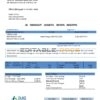 USA North Carolina Duke Energy utility bill template in Word and PDF format