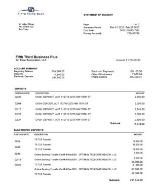 USA Editable Templates 15 USA Fifth Third Bank statement, Word and PDF template, 2 pages
