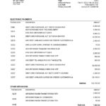 USA Fifth Third Bank statement, Word and PDF template, 2 pages