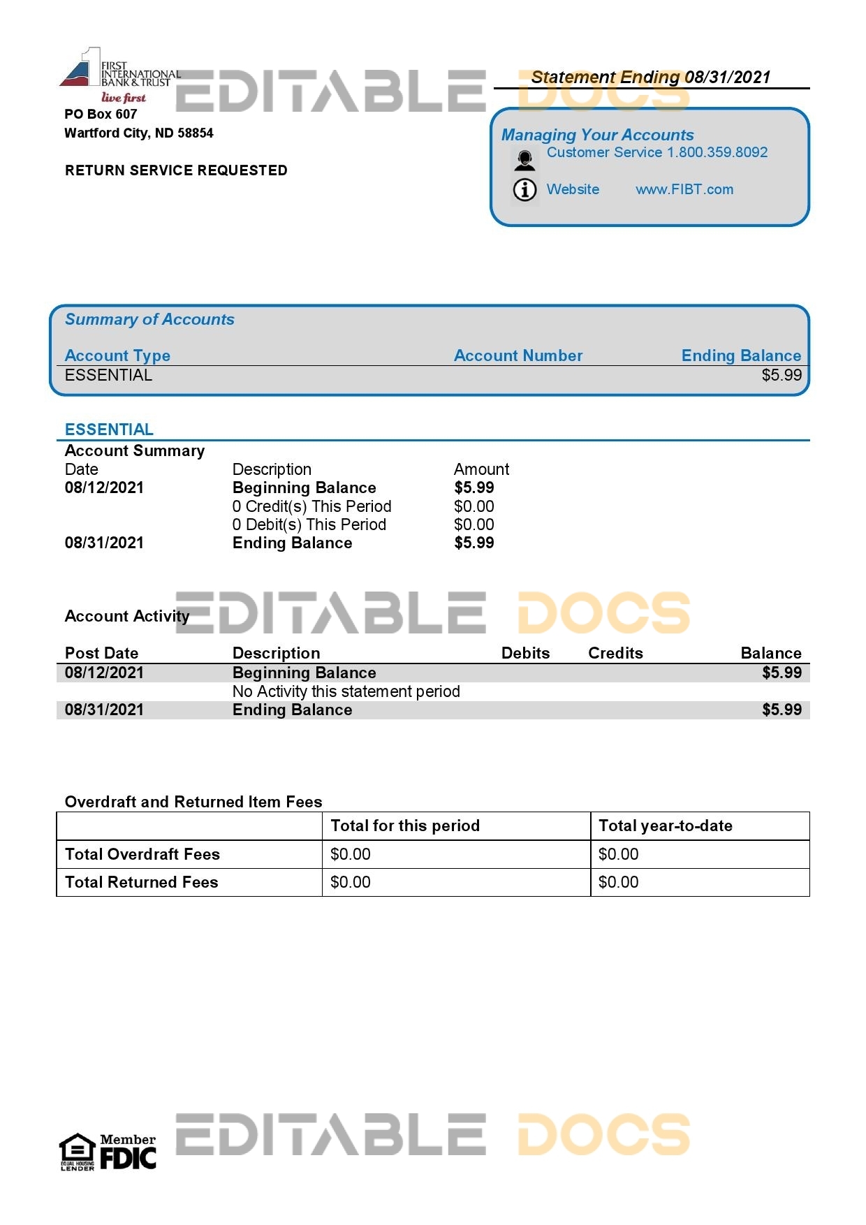 USA First International Bank & Trust bank statement template in Word and PDF format