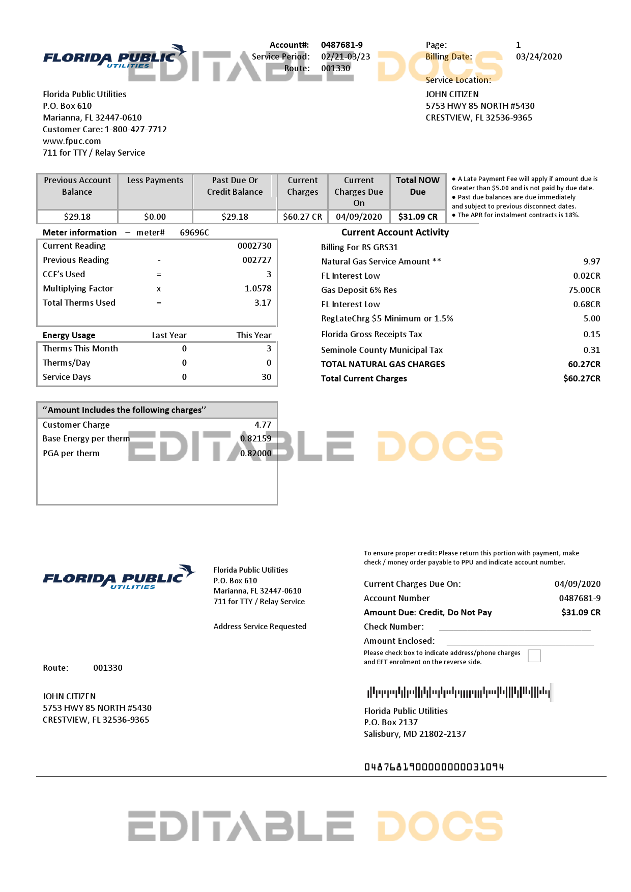 USA Florida Public Utilities utility bill template in Word and PDF format