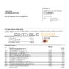 USA Florida Silicon Valley bank credit card statement template in Word and PDF format