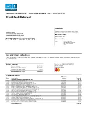 USA Florida Silicon Valley bank credit card statement template in Word and PDF format