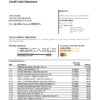 USA Florida Silicon Valley bank credit card statement template in Excel and PDF format