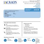 USA Georgia JACKSON EMC utility bill template in Word and PDF format (2 pages)
