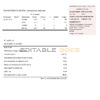 USA Georgia Power utility new brand bill template in Word and PDF format, fully editable