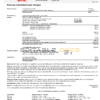 USA Ontario’s Hydro One electricity utility bill template in Word and PDF format (2 pages)