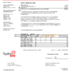 USA Ontario’s Hydro One electricity utility bill template in Word and PDF format (2 pages)