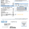 USA Illinois Nicor gas utility bill template in Word and PDF format