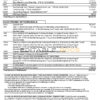USA JP Morgan Chase bank statement template in .doc and .pdf file format, 2 pages