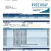 USA Missouri Together Credit Union bank statement template in Word and PDF format (6 pages)