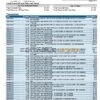 USA Missouri Together Credit Union bank statement template in Word and PDF format (6 pages)
