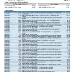 USA Missouri Together Credit Union bank statement template in Word and PDF format (6 pages)