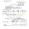 USA Navy Federal Union bank statement template in Excel and PDF format (5 pages)