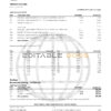 USA Navy Federal Union bank statement template in Excel and PDF format (5 pages)