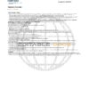 USA Navy Federal Union bank statement template in Excel and PDF format (5 pages)