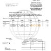 USA Navy Federal Union bank statement template in Word and PDF format (5 pages)