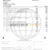USA Navy Federal Union bank statement template in Word and PDF format (5 pages)