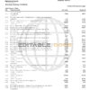 USA Navy Federal Union bank statement template in Word and PDF format (5 pages)