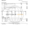 USA Navy Federal Union bank statement template in Word and PDF format (5 pages)