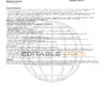 USA Navy Federal Union bank statement template in Word and PDF format (5 pages)