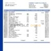 USA Nebraska Five Points Bank credit card statement template in Word and PDF format