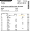 USA Netspend bank statement Word and PDF template