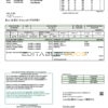 USA New Hampshire Electric Co-op electricity utility bill template in Word and PDF format
