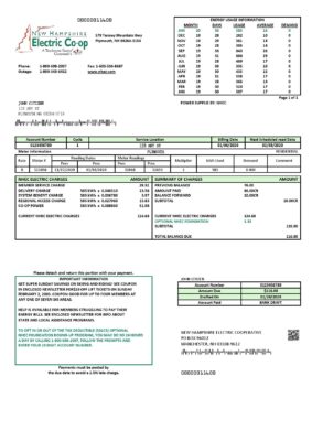 USA New Mexico electricity proof of address utility bill template in Word and PDF format