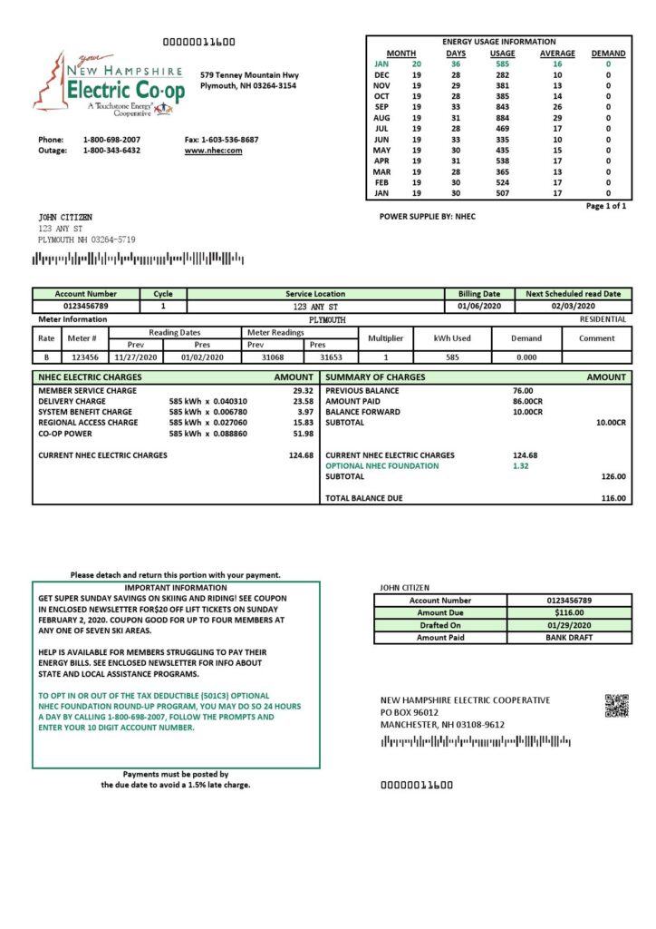 USA New Mexico electricity proof of address utility bill template in Word and PDF format