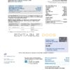 USA Costco Anywhere Visa Card by Citi bank statement, Word and PDF template, 4 pages