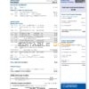 USA Costco Anywhere Visa Card by Citi bank statement, Word and PDF template, 4 pages