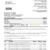USA New York CFSB bank statement easy to fill templates in Word and PDF format